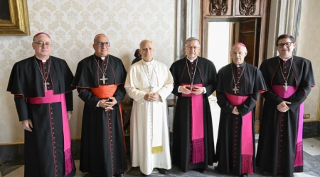 El Papa León XIV se reunió en el vaticano con Comité Permanente de la Conferencia Episcopal de Chile (CECh),