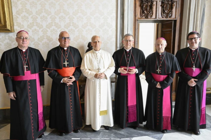 El Papa León XIV se reunió en el vaticano con Comité Permanente de la Conferencia Episcopal de Chile (CECh),