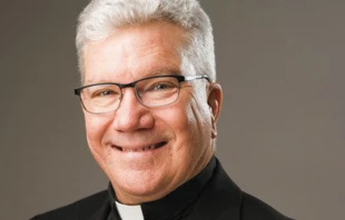 Mons. Jeffrey Monforton Crédito: Diocese of Steubenville