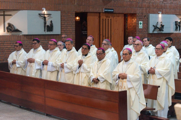 Obispos peruanos reunidos en la 129ª Asamblea Plenaria Ordinaria. Crédito: Cortesíad de la CEP