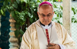 Mons. Rafael Escudero López-Brea. Crédito: Prelatura de Moyobamba