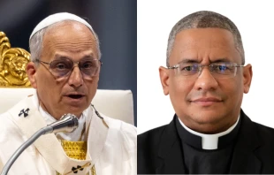 Papa León XIV y Mons. Andrés Rosario Henríquez Crédito: Daniel Ibáñez - EWTN News / Cortesía de la Conferencia del Episcopado Dominicano