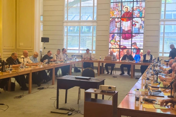 Obispos argentinos reunidos en comisión permanente