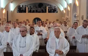 Obispos argentinos en la 124° Asamblea Plenaria Crédito: Conferencia Episcopal Argentina