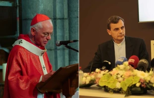 Cardenal Jozef De Kesel y Mons. Luc Terlinden. Crédito: Philcotof-CC BY-SA 4.0 / Armelle Delmelle-CC BY-SA 4.0 (Wikimedia Commons)