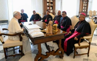 Obispos de Bolivia con el Papa León XIV Crédito: Conferencia Episcopal Boliviana (CEB)