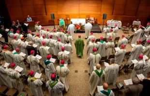 Asamblea Plenaria de la Conferencia Canadiense de Obispos Católicos (CCCB) de 2023, celebrada del 25 al 28 de septiembre en las afueras de Toronto. Crédito: CCCB/CECC
