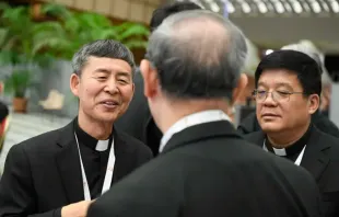 Mons. Yao Shun, Obispo de Jining, y Mons. Yang Yongqiang, Obispo de Zhouchun (derecha) en el Sínodo. Crédito: Vatican Media