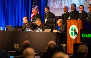 La Asamblea Plenaria de la Conferencia de Obispos Católicos de Estados Unidos comenzó el 11 de noviembre de 2025 en el Baltimore Marriott Waterfront. Primera fila, de izquierda a derecha: el P. Michael J.K. Fuller, secretario general; el arzobispo Timothy P. Broglio, presidente, y el arzobispo William E. Lori, vicepresidente. Crédito: Jack Haskins/EWTN News.