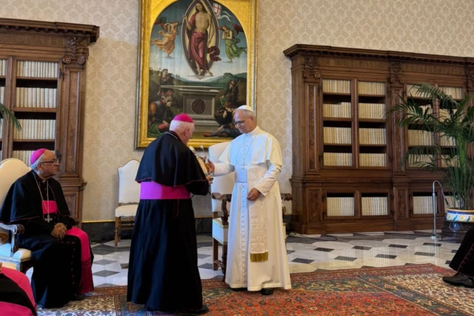 Obispos de Perú y León XIV