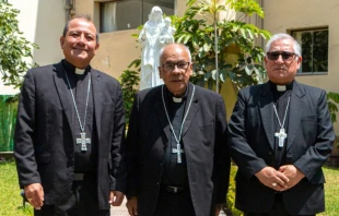 (De izq. a der.) Mons. Jorge Enrique Izaguirre Rafael, Mons. Carlos García Camader; y Mons. Luis Alberto Barrera Pacheco. Crédito: CEP.