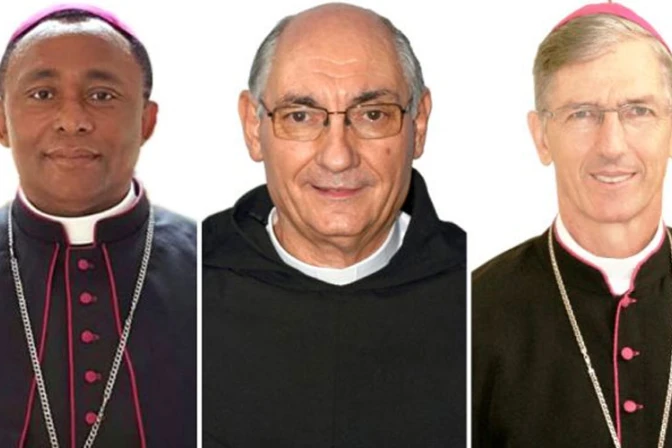 El Papa reestructura provincia eclesiástica amazónica en Brasil y nombra 3 obispos