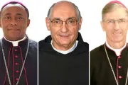 El Papa reestructura provincia eclesiástica amazónica en Brasil y nombra 3 obispos