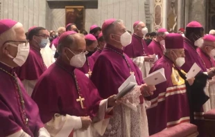 Imagen referencial de Obispos en la Basu00edlica de San Pedro. Cru00e9dito: Almudena Mtz-Bordiu00fa/ACI Prensa 