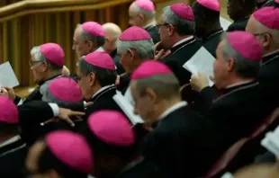 Imagen referencial de obispos en el Vaticano. Crédito: Daniel Ibáñez/ACI Prensa 