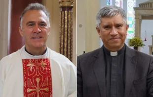 Mons. Germán Medina Acosta (izquierda) y Mons. Edwin Raúl Vanegas Cuervo (derecha) Crédito: Arquidiócesis de Bogotá
