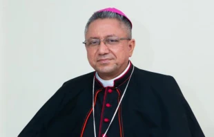Mons. Isidoro del Carmen Mora Ortega. Crédito: Diócesis de Siuna