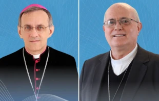 Mons. Francisco Carlos Bach y Mons. Odelir José Magri, los dos nuevos arzobispos de Brasil. Crédito: CNBB