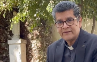 P. Omar Sotelo, director del Centro Católico Multimedial. Crédito: Captura de video/Centro Católico Multimedial.