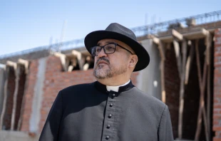 Padre Omar Sánchez Portillo, sacerdote del clero de la Diócesis de Lurín (Perú) Crédito: Asociación de las Bienaventuranzas