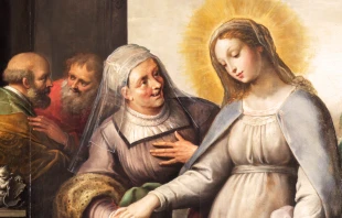 Oración para la Fiesta de la Visitación Crédito: Renata Sedmakova - Shutterstock