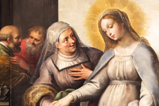 Santoral de hoy 31 de mayo: La Visitación de la Virgen María | ACI Prensa