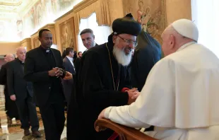 El Papa Francisco durante la audiencia con ortodoxos en enero Crédito: Vatican Media
