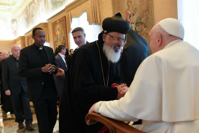 El Papa Francisco durante la audiencia con ortodoxos este 26 de enero