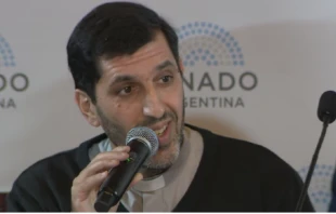 P. Munir Bracco en el Senado Crédito: Captura de video de YouTube/Senado Argentina