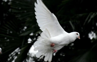 Foto referencial Crédito: Unsplash