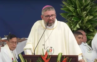 Mons. Manuel Ochogavía, Obispo de Colón-Kuna Yala. Crédito: Conferencia Episcopal de Panameña