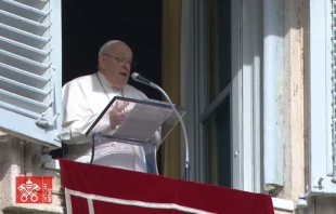 El Papa Francisco dirige sus palabras previas al rezo del Ángelus, este 14 de enero 2024 en el Vaticano. Crédito: Vatican Media.