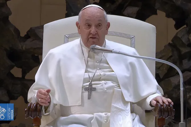 El Papa Francisco, durante la audiencia general del 28 de febrero de 2024.