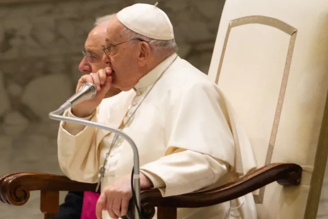 El Papa Francisco en la Audiencia General de este 27 de diciembre