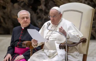 El Papa Francisco en la Audiencia General de este 31 de enero Crédito: Daniel Ibáñez/ ACI Prensa