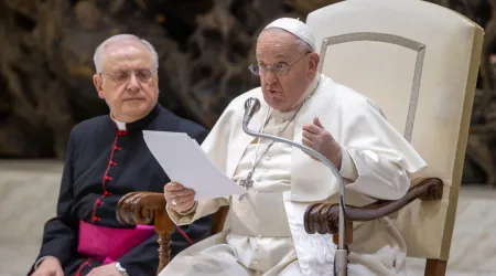 El Papa Francisco en la Audiencia General de este 31 de enero