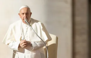 El Papa Francisco en la Audiencia General de este 8 de noviembre Crédito: Daniel Ibáñez/ACI Prensa