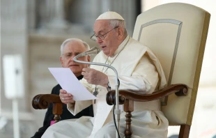 El Papa Francisco en la Audiencia General Crédito: Vatican Media