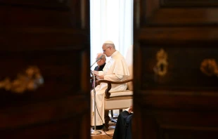 El Papa en su discurso a los participantes en los Capítulos Generales de la Sociedad de las Misiones Africanas, de la Tercera Orden de San Francisco y a los Formadores de los Siervos del Paráclito. Crédito: Vaican Media