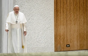 El Papa Francisco en la Audiencia General del 28 de noviembre Crédito: Vatican Media