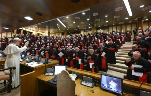 El Papa León XIV reunido con los cardenales en mayo de 2025. Crédito: Daniel Ibáñez/EWTN.