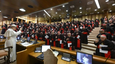 Papa León, consistorio