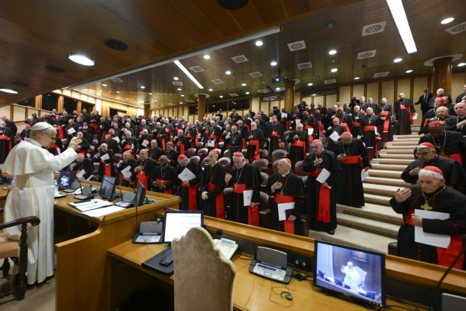 Papa León, consistorio