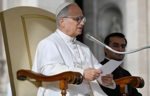 Imagen referencial del Papa León XIV Crédito: Vatican Media