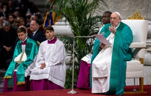 El Papa Francisco en la Misa en el Domingo de la Palabra de Dios Crédito: Daniel Ibáñez/ EWTN News