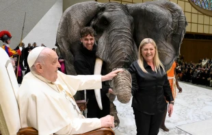 El Papa Francisco acaricia a un elefante animatrónico durante la Audiencia General del 8 de enero Crédito: Vatican Media