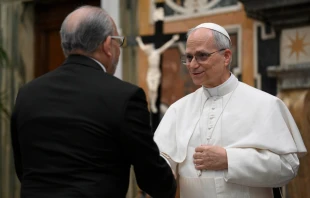 El Papa León XIV saluda a los embajadores este 16 de mayo Crédito: Vatican MEDIA