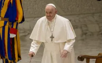El Papa Francisco, durante una audiencia general.