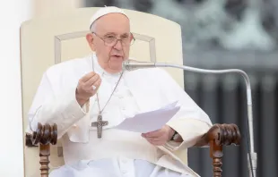 El Papa Francisco en la Audiencia General de este miércoles 20 de septiembre Crédito: Daniel Ibáñez/ACI Prensa