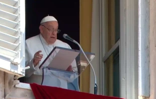 El Papa Francisco en el ángelus de este domingo 30 de junio. Crédito: Youtube Vatican News.